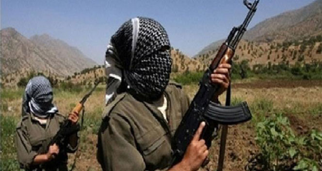 PKK`lılar köy basarak iki kişiyi kaçırdı