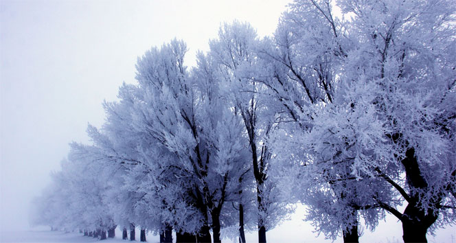 Kış geri geliyor kar yağışı,kış,Meteoroloji