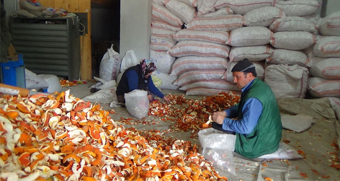 Portakal kabuğu ekmek kapısı oldu geçim,portakal