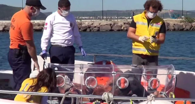 Gemide rahatsızlanan hastaya ‘ebola’ karantinası