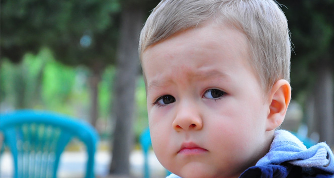 Onun için mezar değil ‘bayraklı tarla’