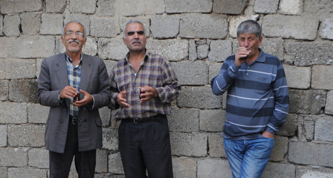 Bu kadarına da pes !