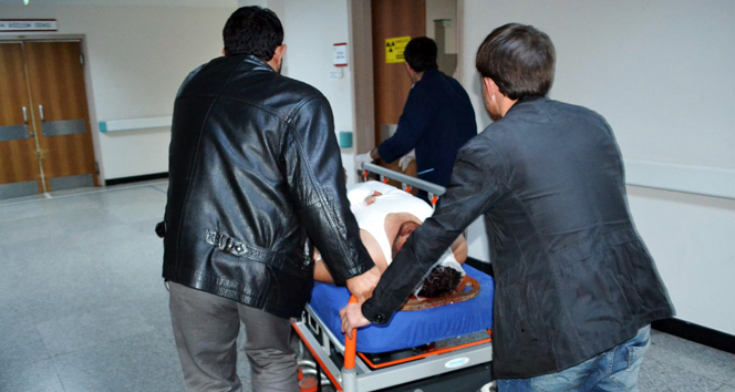 Domuza çarpan motosiklet sürücüsü hastanelik oldu