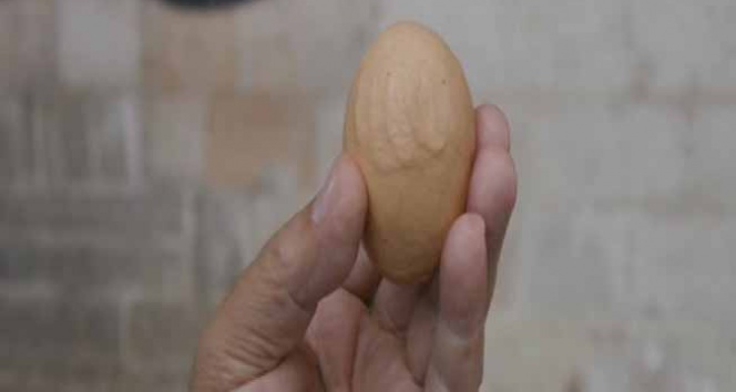 Yumurtadaki Allah yazısı görenleri şaşırtıyor!