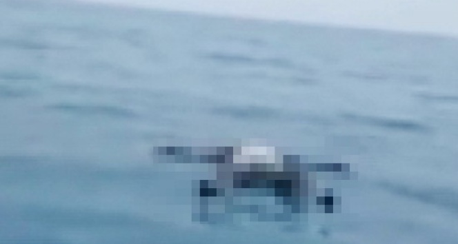 Balıkçıların ağına öyle bir şey takıldı ki balık ağı,ceset