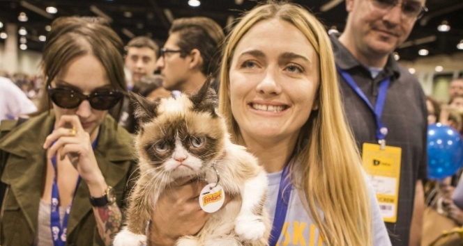 Bu hırçın kedi sahibini milyoner yaptı&nbsp;Amerika Birleşik Devletleri,Arizona,hırçın kedi,milyoner,Tabatha Bundesen