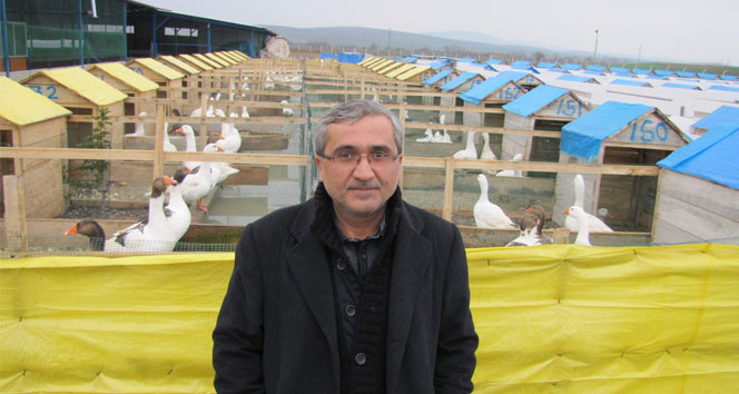 Gördüğü rüya üzerine kaz çiftliği kurdu çorum,kaz çiftliği