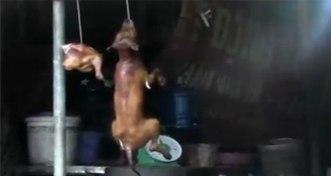 Günün en iğrenç haberi! Hanoi,köpek eti,köpek eti yiyen ülke,Vietnam