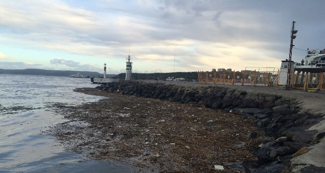 Çanakkale Boğazı çöplüğe döndü çanakkale boğazı,Çöplük,lodos