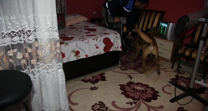 Genelevine büyük operasyon&nbsp;diyarbakır,Genelevine büyük operasyon