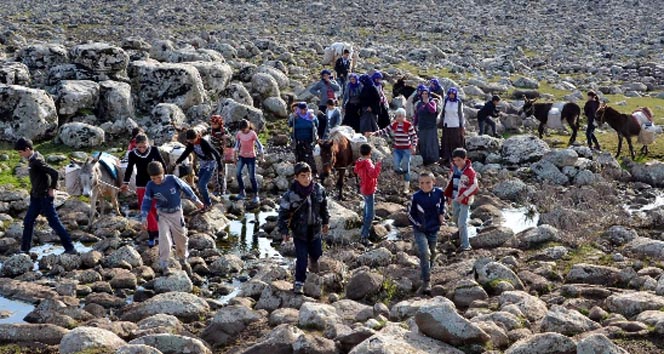 21 yüzyılda eşeklerle su taşıyorlar&nbsp;eşek,şanlıurfa,su,taşıma