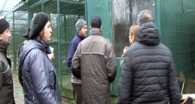 İşadamının çiftliğine şok baskın!&nbsp;alp özalp,cıtes,Doğu Koruma ve Milli Parklar Genel Müdürlüğü,İşadamına operasyon,şile çiftlik