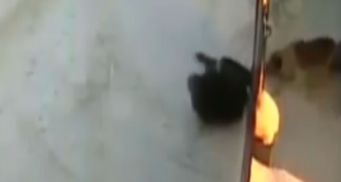 O hareketi yapmayacaktın!&nbsp;